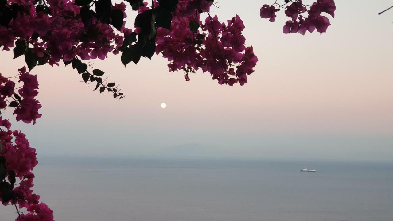 Villa Grace Amalfi Seaview Bagian luar foto